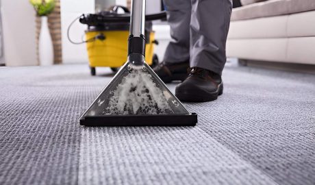 Professional Carpet Cleaning Services